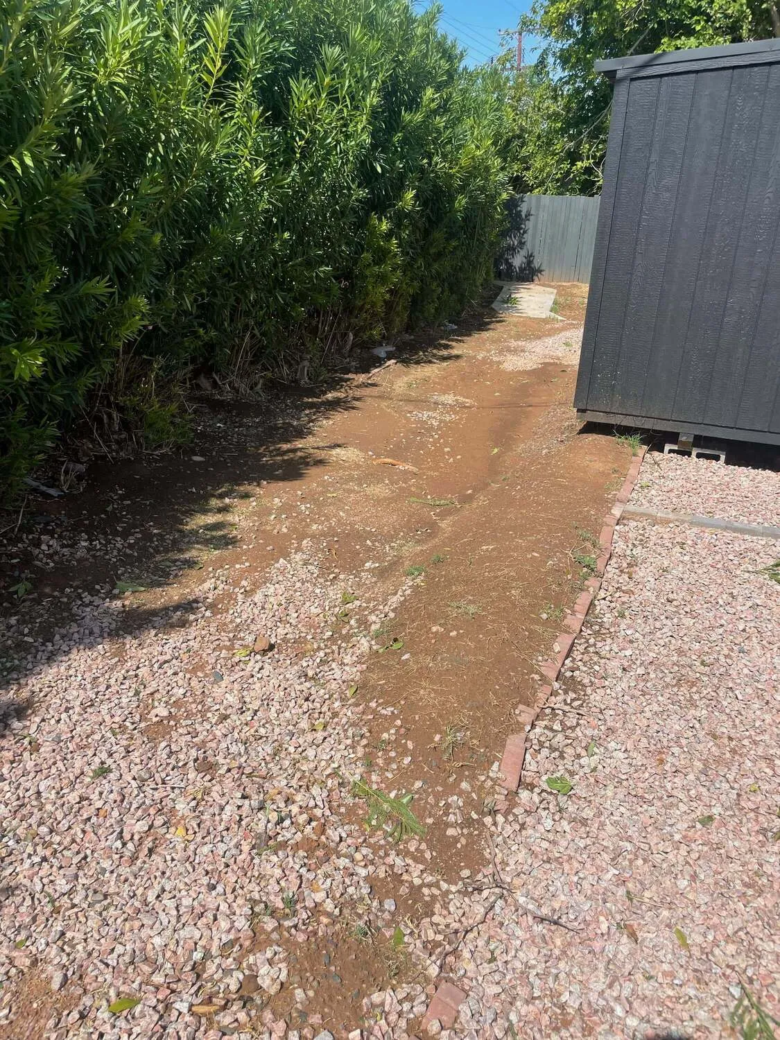 rock spreading phoenix