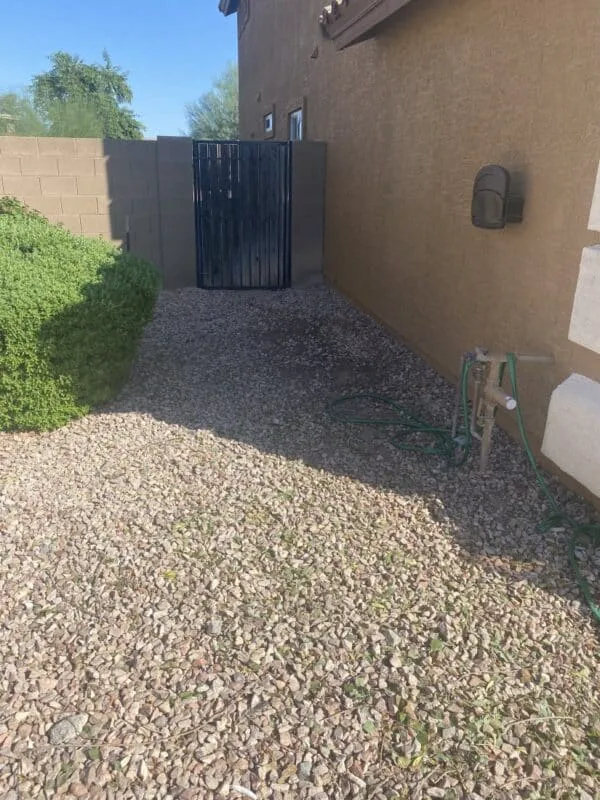 tree branch yard trimming remova (1)