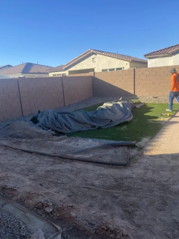 turf removal 1