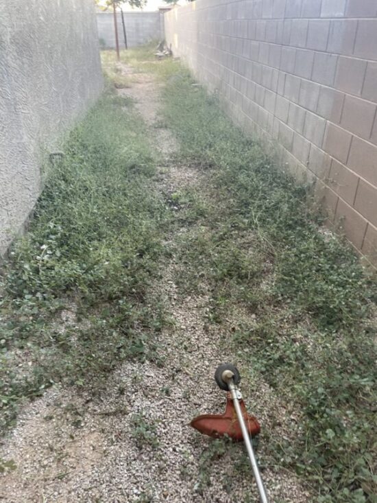 weeds removal 1