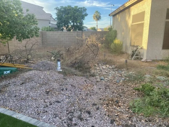 weeds removal dog cleanup 2